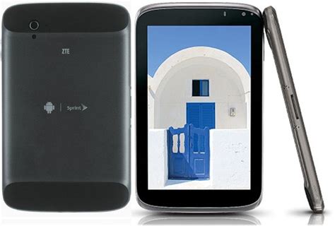 ZTE Optik